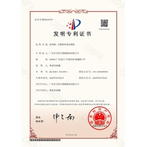 发明专利